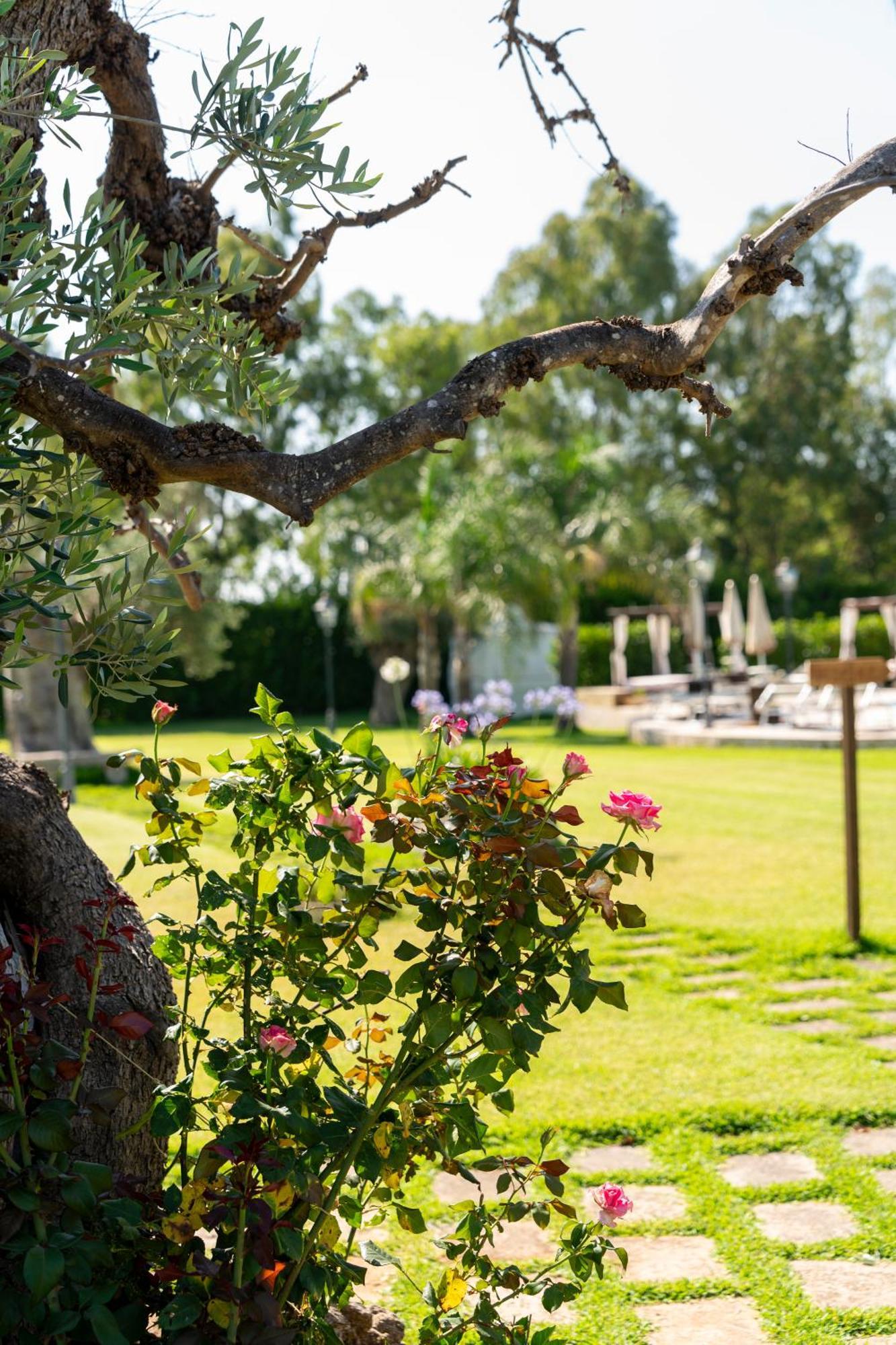 Masseria Giamarra Carpignano Salentino Exteriér fotografie